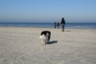 Strand bij Nes (herfst 2011)
